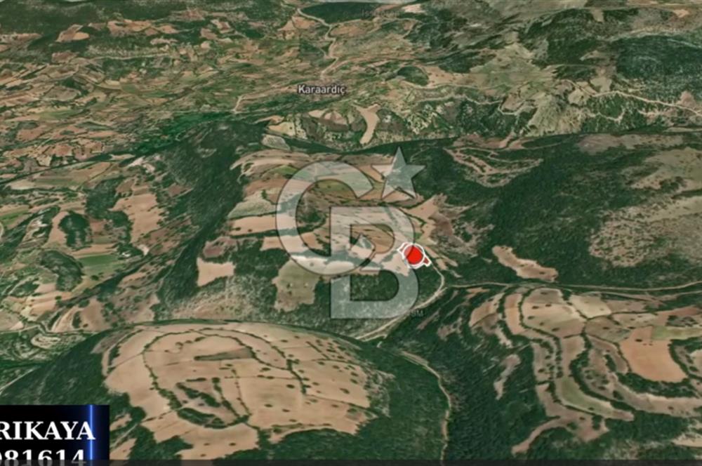 CB AMBIANCE'DAN KELES(BURSA) BASAK KÖYÜNDE 5054m2 TARLA