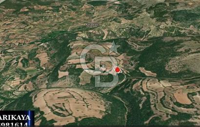 CB AMBIANCE'DAN KELES(BURSA) BASAK KÖYÜNDE 5054m2 TARLA