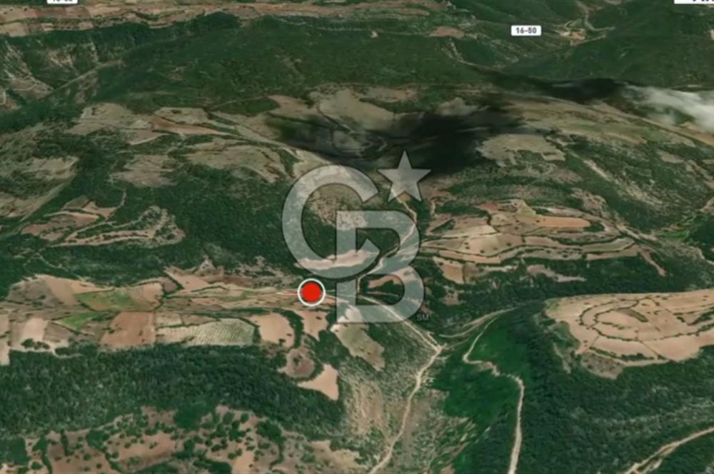 CB AMBIANCE'DAN KELES(BURSA) BASAK KÖYÜNDE 5054m2 TARLA