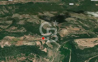 CB AMBIANCE'DAN KELES(BURSA) BASAK KÖYÜNDE 5054m2 TARLA