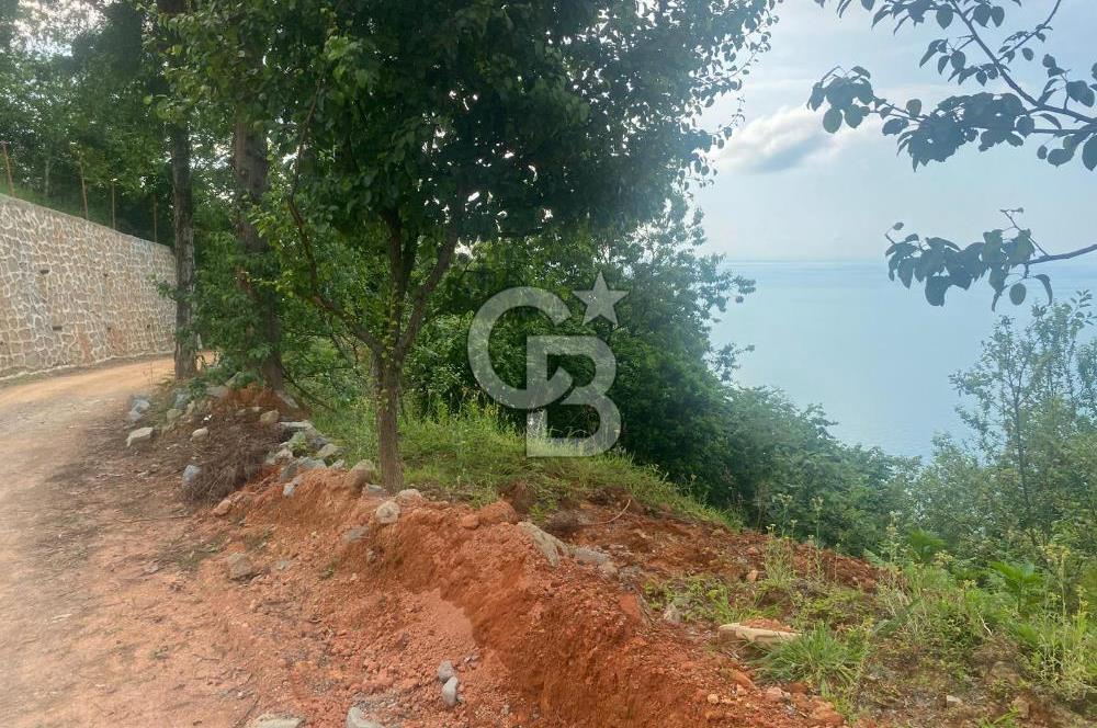 Rize Ardeşende 4 parsel satılık fındık bahçesi