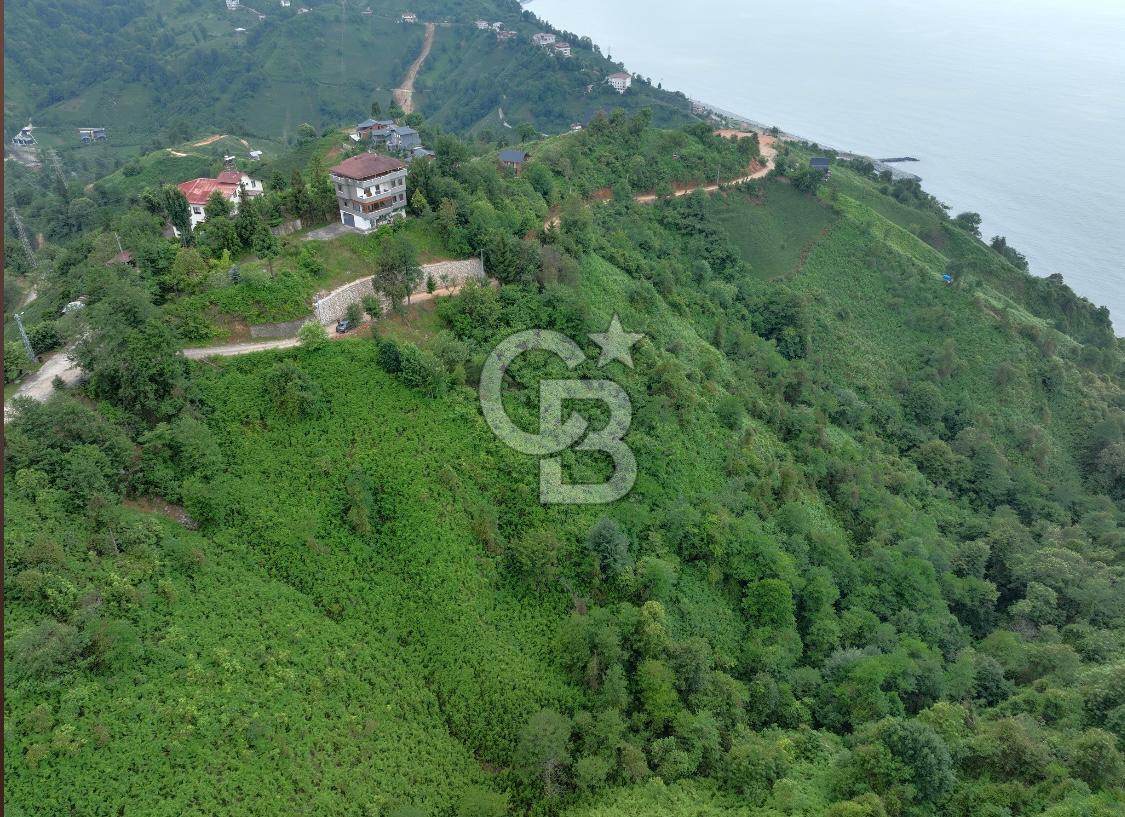 Rize Ardeşende 4 parsel satılık fındık bahçesi