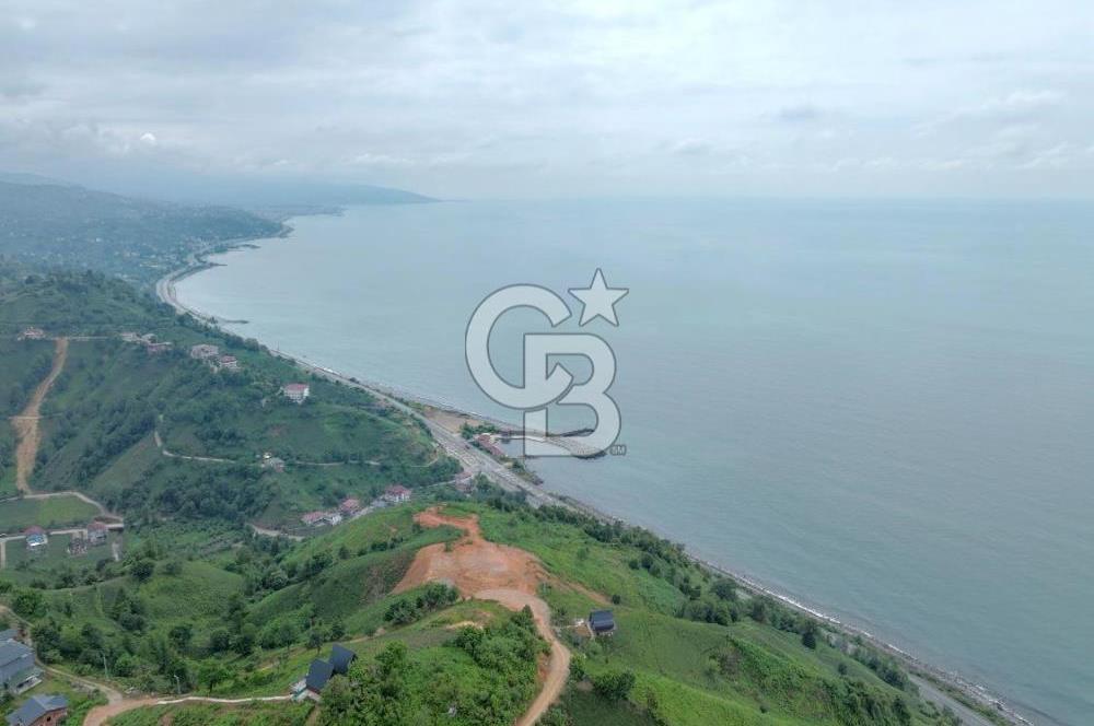 Rize Ardeşende 4 parsel satılık fındık bahçesi
