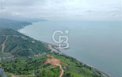 Rize Ardeşende 4 parsel satılık fındık bahçesi