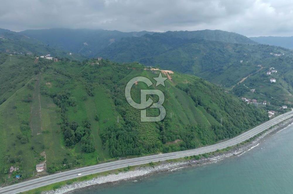 Rize Ardeşende 4 parsel satılık fındık bahçesi