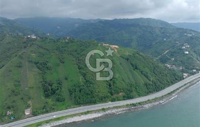 Rize Ardeşende 4 parsel satılık fındık bahçesi