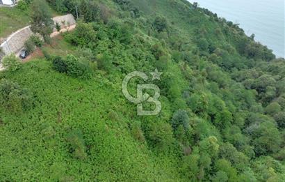 Rize Ardeşende 4 parsel satılık fındık bahçesi