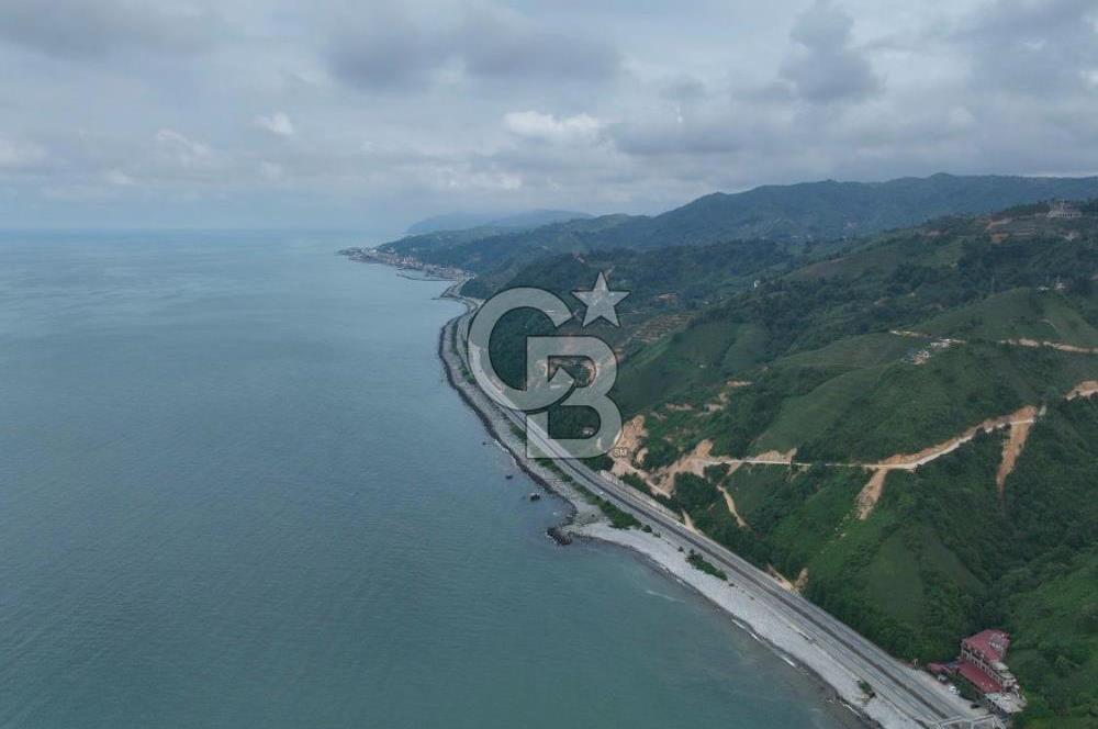Rize Ardeşende 4 parsel satılık fındık bahçesi