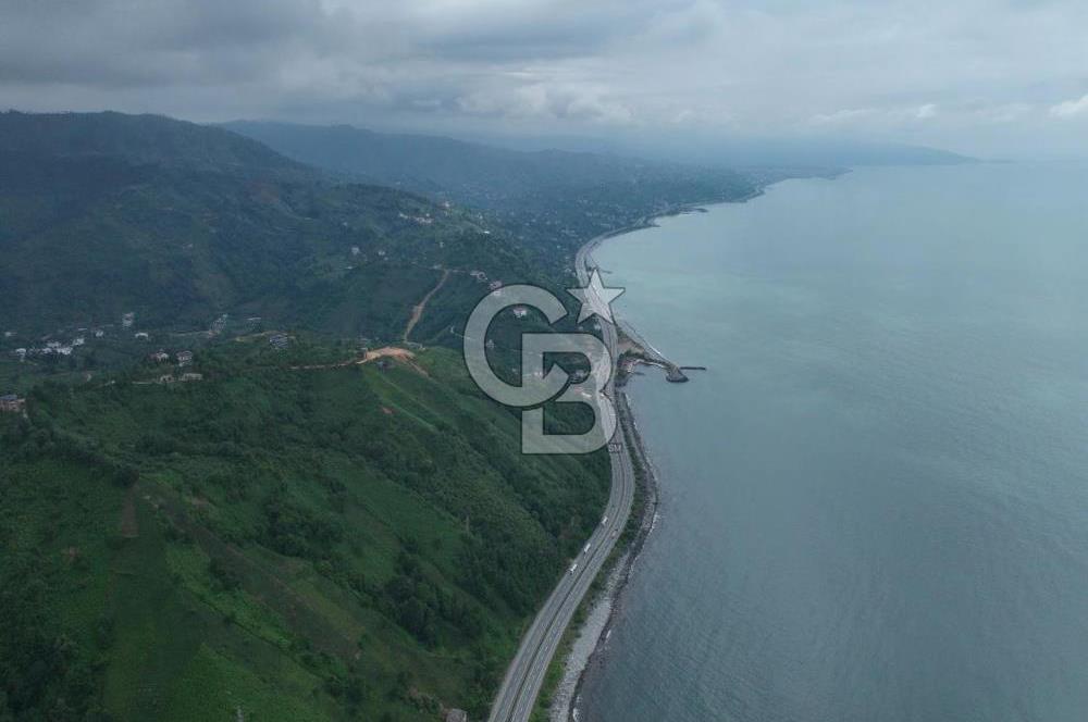 Rize Ardeşende 4 parsel satılık fındık bahçesi