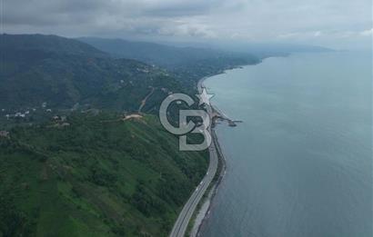 Rize Ardeşende 4 parsel satılık fındık bahçesi