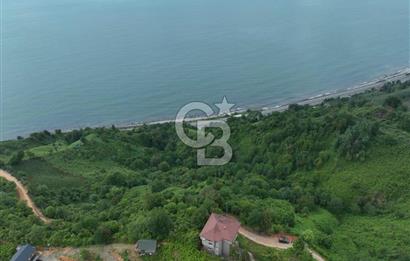 Rize Ardeşende 4 parsel satılık fındık bahçesi