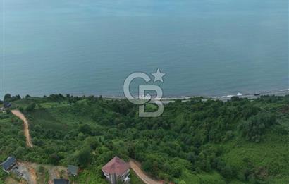 Rize Ardeşende 4 parsel satılık fındık bahçesi