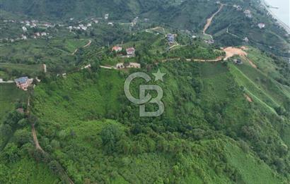 Rize Ardeşende 4 parsel satılık fındık bahçesi