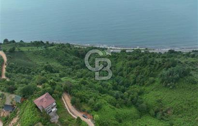 Rize Ardeşende 4 parsel satılık fındık bahçesi