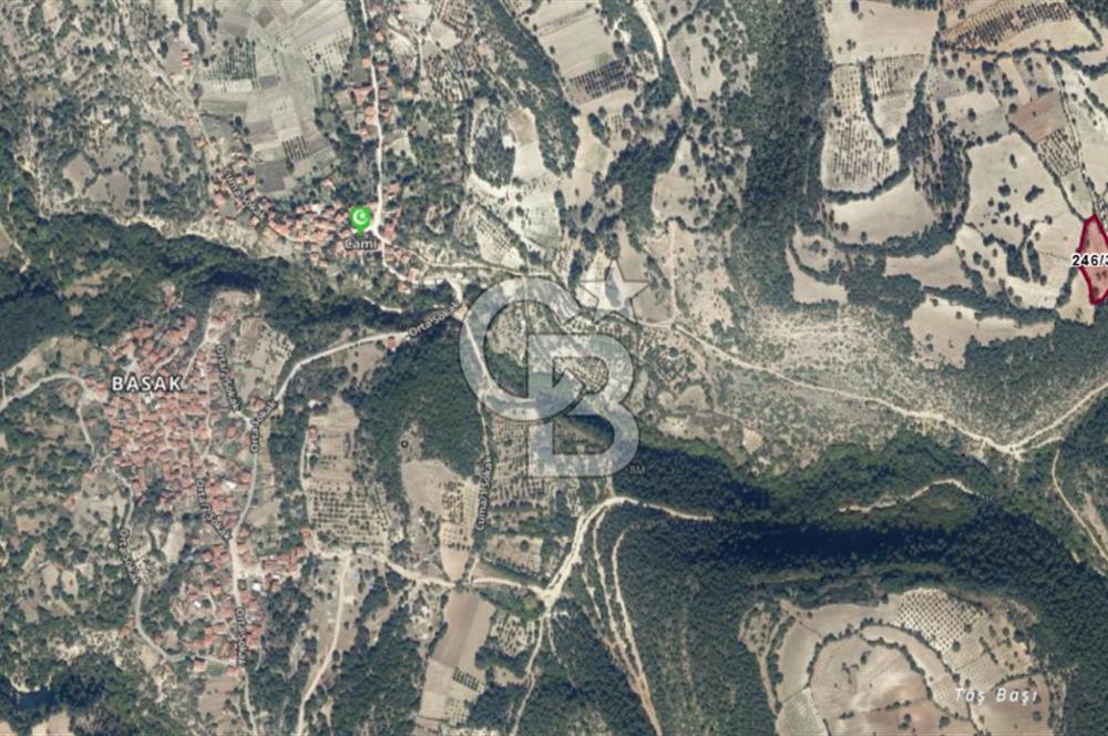 CB AMBIANCE'DAN KELES(BURSA) BASAK KÖYÜNDE 5054m2 TARLA