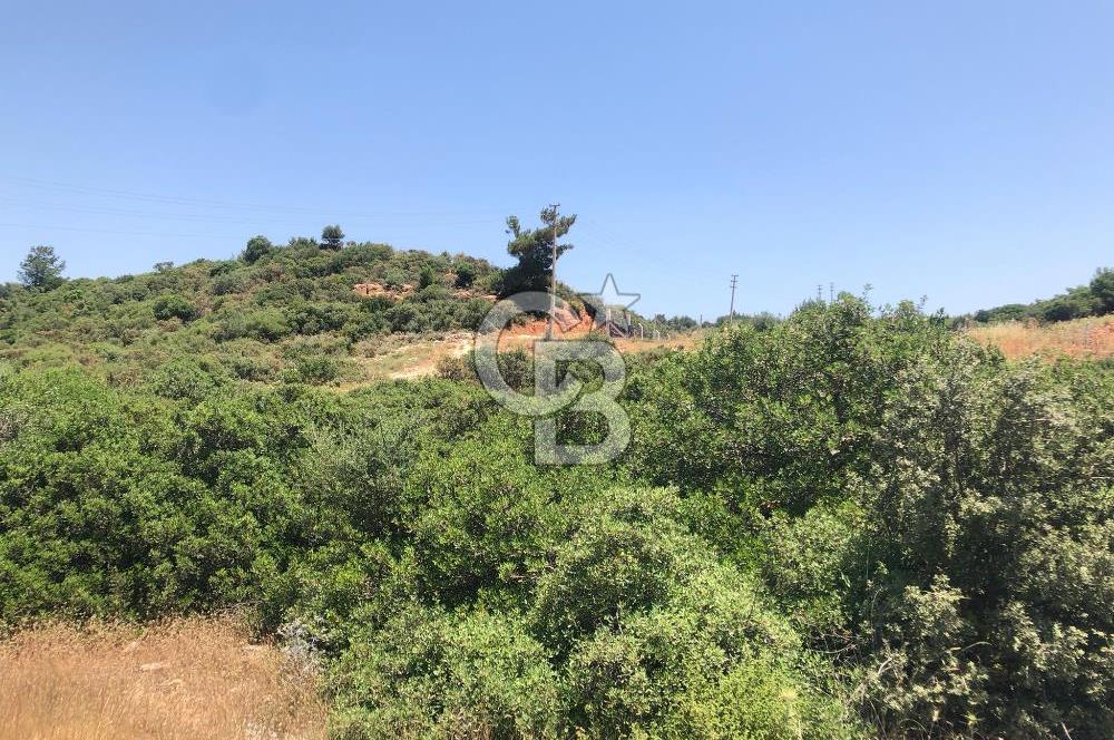 DİDİM AKYENİKÖY DE DENİZE VE BAFA GÖLÜNE YAKIN  İMARLI ARSA