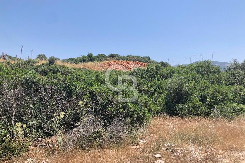 DİDİM AKYENİKÖY DE DENİZE VE BAFA GÖLÜNE YAKIN  İMARLI ARSA