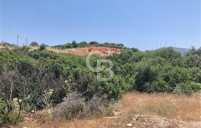 DİDİM AKYENİKÖY DE DENİZE VE BAFA GÖLÜNE YAKIN  İMARLI ARSA