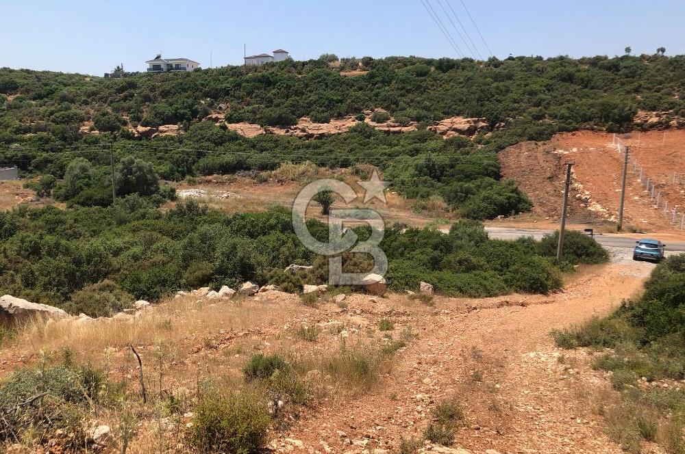 DİDİM AKYENİKÖY DE DENİZE VE BAFA GÖLÜNE YAKIN  İMARLI ARSA