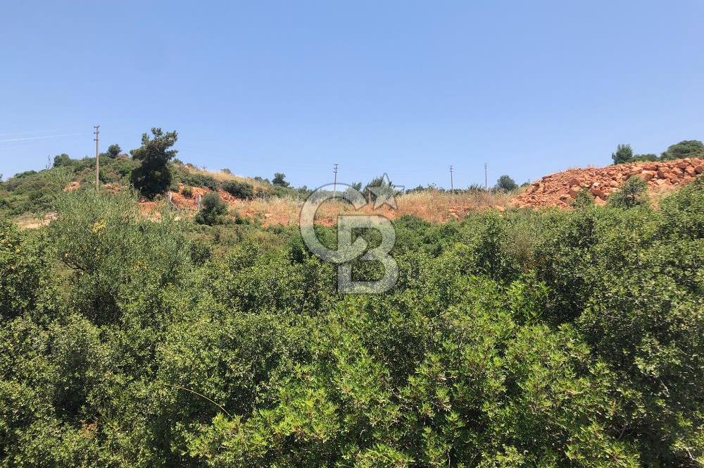 DİDİM AKYENİKÖY DE DENİZE VE BAFA GÖLÜNE YAKIN  İMARLI ARSA