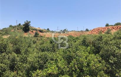 DİDİM AKYENİKÖY DE DENİZE VE BAFA GÖLÜNE YAKIN  İMARLI ARSA