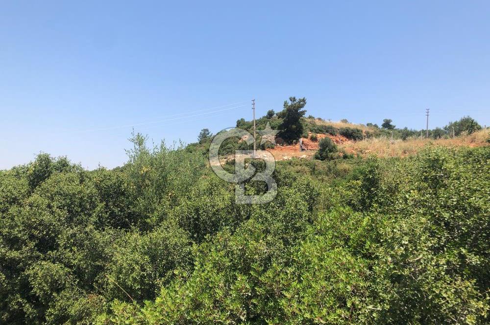 DİDİM AKYENİKÖY DE DENİZE VE BAFA GÖLÜNE YAKIN  İMARLI ARSA