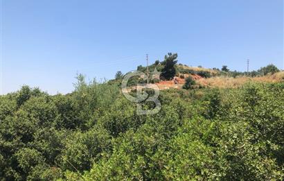 DİDİM AKYENİKÖY DE DENİZE VE BAFA GÖLÜNE YAKIN  İMARLI ARSA