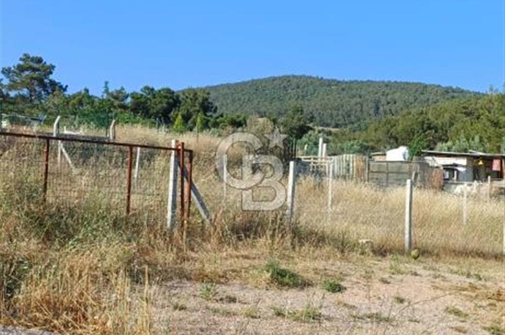 Bornova Yakaköy'de Satılık 365 m2 Zeytinlik Tarla