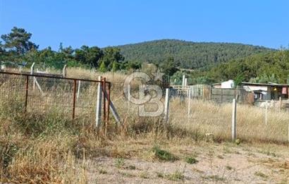 Bornova Yakaköy'de Satılık 365 m2 Zeytinlik Tarla