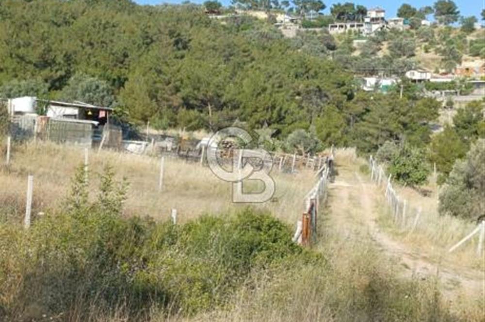 Bornova Yakaköy'de Satılık 365 m2 Zeytinlik Tarla