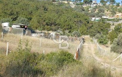 Bornova Yakaköy'de Satılık 365 m2 Zeytinlik Tarla
