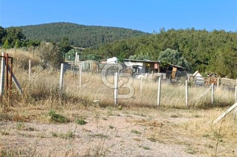 Bornova Yakaköy'de Satılık 365 m2 Zeytinlik Tarla