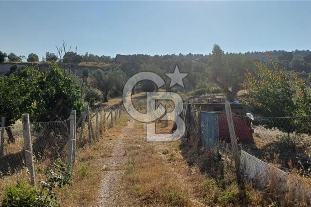 Bornova Yakaköy'de Satılık 365 m2 Zeytinlik Tarla