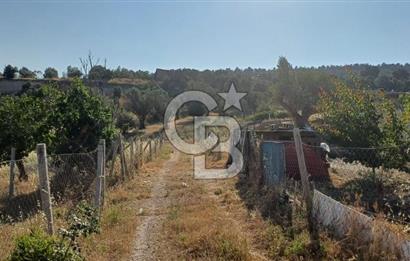 Bornova Yakaköy'de Satılık 365 m2 Zeytinlik Tarla