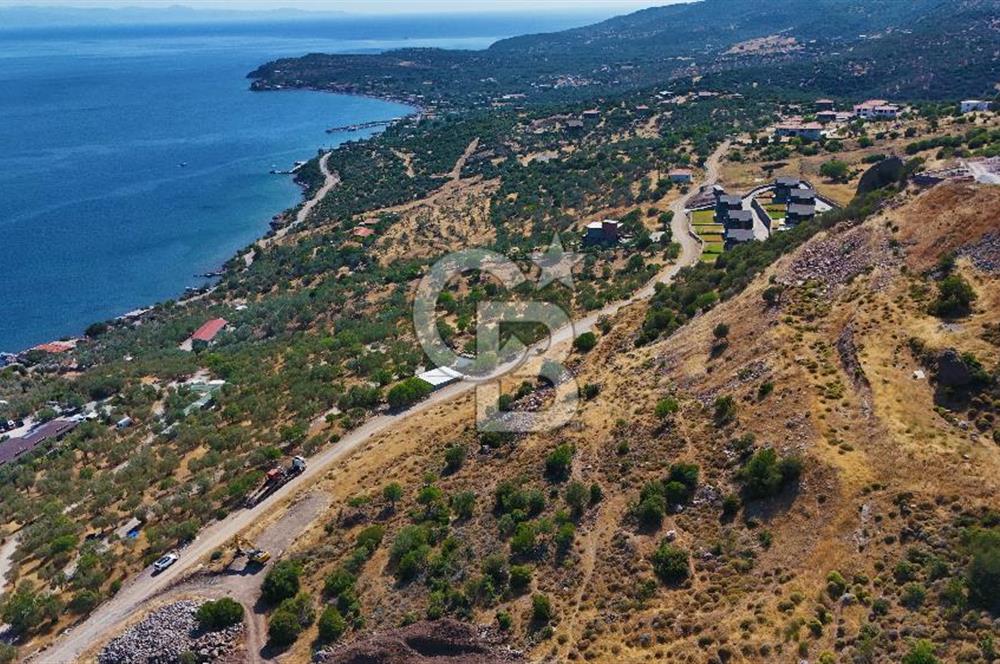 AYVACIK BALABANLIDA PANORAMİK DENİZ MANZARALI İMARLI ARSA