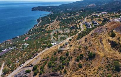 AYVACIK BALABANLIDA PANORAMİK DENİZ MANZARALI İMARLI ARSA