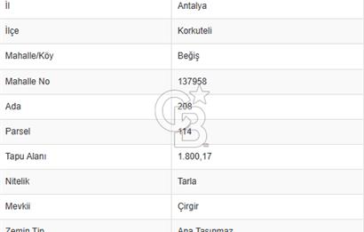 BEĞİŞ KORKUTELİNDE SATILIK TARLA