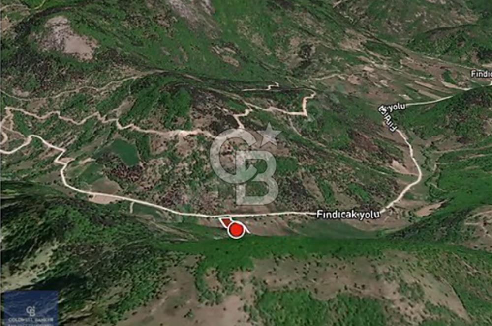 CB AMBIANCE'DAN GEMLİK FINDICAK KÖYÜNDE 8016 M2 TARLA