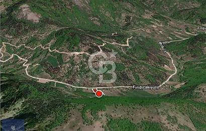 CB AMBIANCE'DAN GEMLİK FINDICAK KÖYÜNDE 8016 M2 TARLA