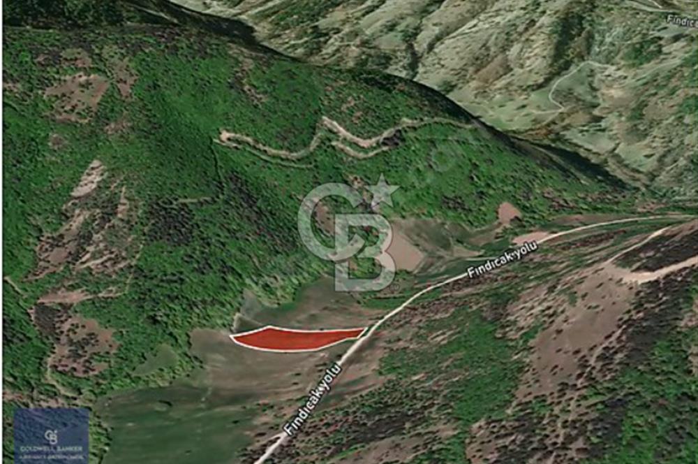CB AMBIANCE'DAN GEMLİK FINDICAK KÖYÜNDE 8016 M2 TARLA