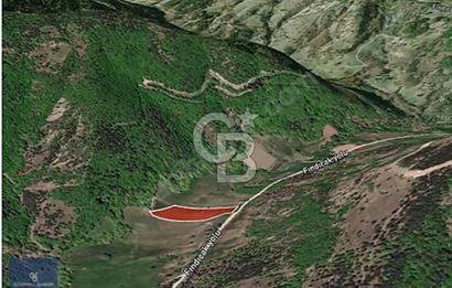 CB AMBIANCE'DAN GEMLİK FINDICAK KÖYÜNDE 8016 M2 TARLA