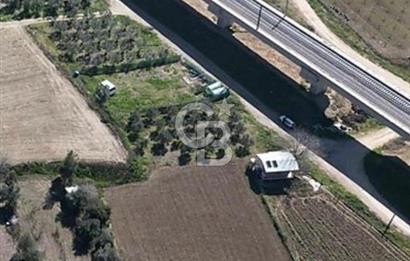 Barakfakih'te Yatırımlık Tek Tapu Tarla