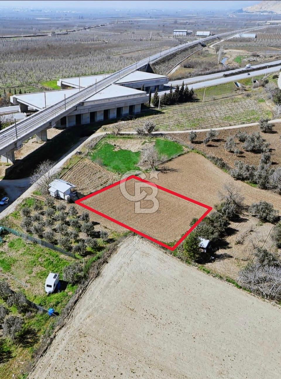 Barakfakihte Yatırımlık Tek Tapu Tarla!!!