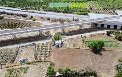 Barakfakih'te Yatırımlık Tek Tapu Tarla