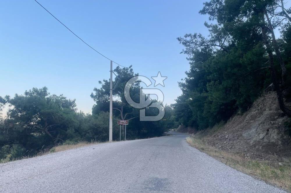 KARŞIYAKA YAMANLAR KÖY EVİ-KISMEN EŞYALI-UYGUN FİYAT