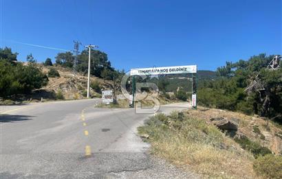 KARŞIYAKA YAMANLAR KÖY EVİ-KISMEN EŞYALI-UYGUN FİYAT