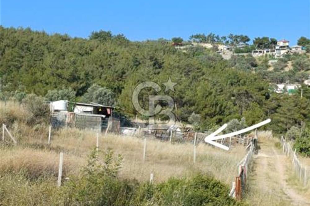 Bornova Yakaköy'de Satılık 365 m2 Zeytinlik Tarla