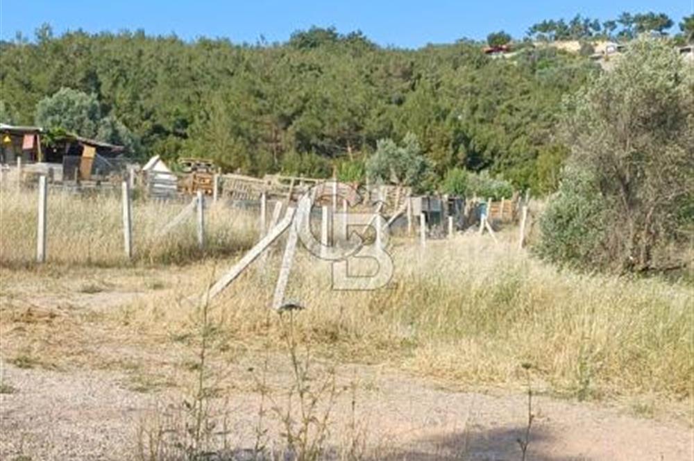 Bornova Yakaköy'de Satılık 365 m2 Zeytinlik Tarla