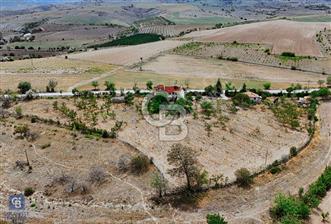 KALECİK ŞENYURTTA SATILIK 9,160,90 m2 ÇİFTLİK