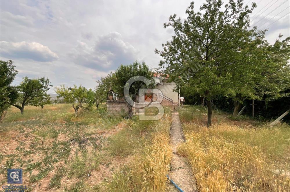 KALECİK ŞENYURTTA SATILIK 9,160,90 m2 ÇİFTLİK